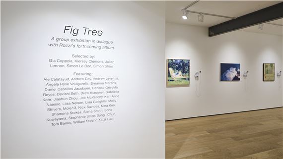 Fig Tree - Ki Smith Gallery