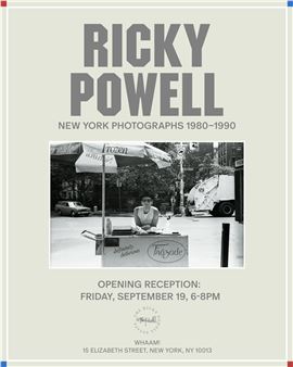 アート・デザイン・音楽 PUBLIC ACCESS: RICKY POWELL Public Access Ricky Powell Photographs 1985-2005 - BOOK OF