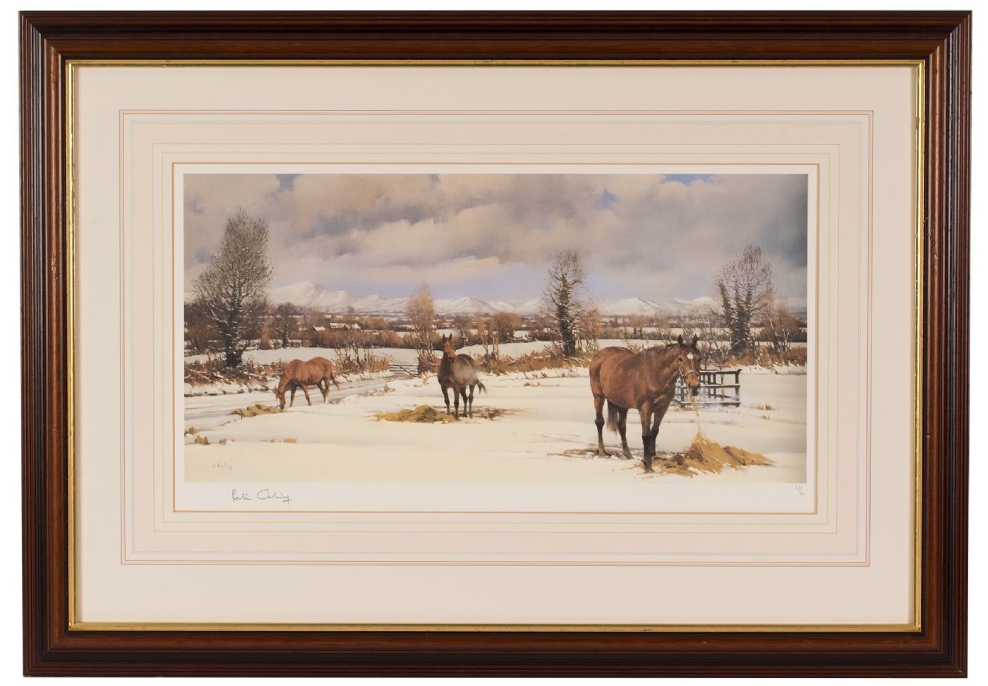 Peter Curling | WINTER RATIONS | MutualArt