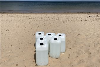 Désirée Coral: Halite-NaCl: Essays on Salt - Worm: Peacock