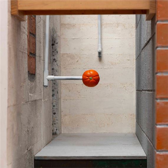 Āhua Rerekē: Curiosities From The Collection - Sarjeant Gallery Whanganui 