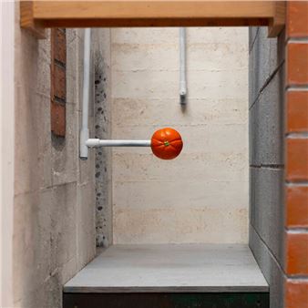 Āhua Rerekŧ: Curiosities From The Collection - Sarjeant Gallery Whanganui 