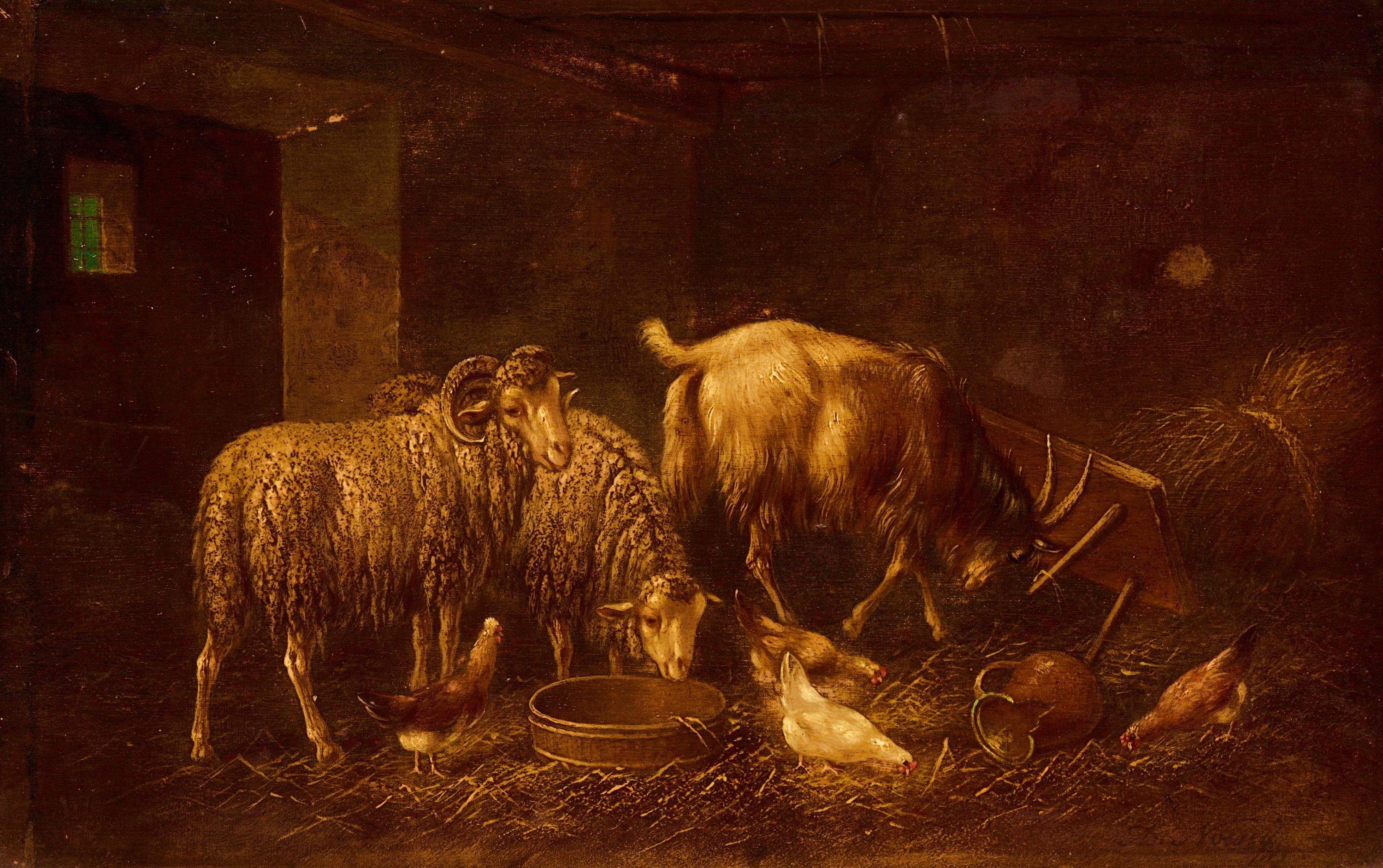 Artwork by Adolf Nowey, Ovce, Made of oil on canvas