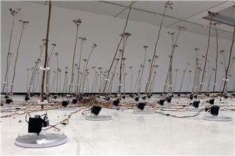 Stedelijk Museum Schiedam opens first exhibition in former Monopole cinema