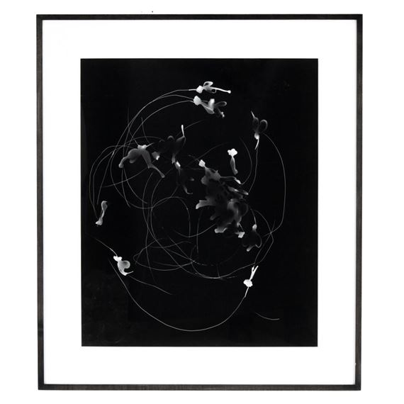 Alyson Shotz | Fly Tracks Eleven (1999) | MutualArt