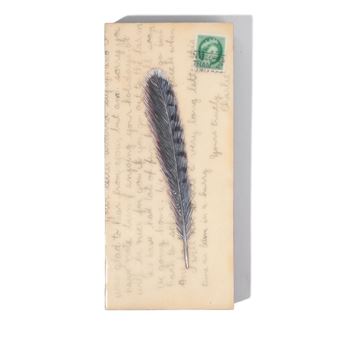 Correspondence #1: Feather - Kenna Moser