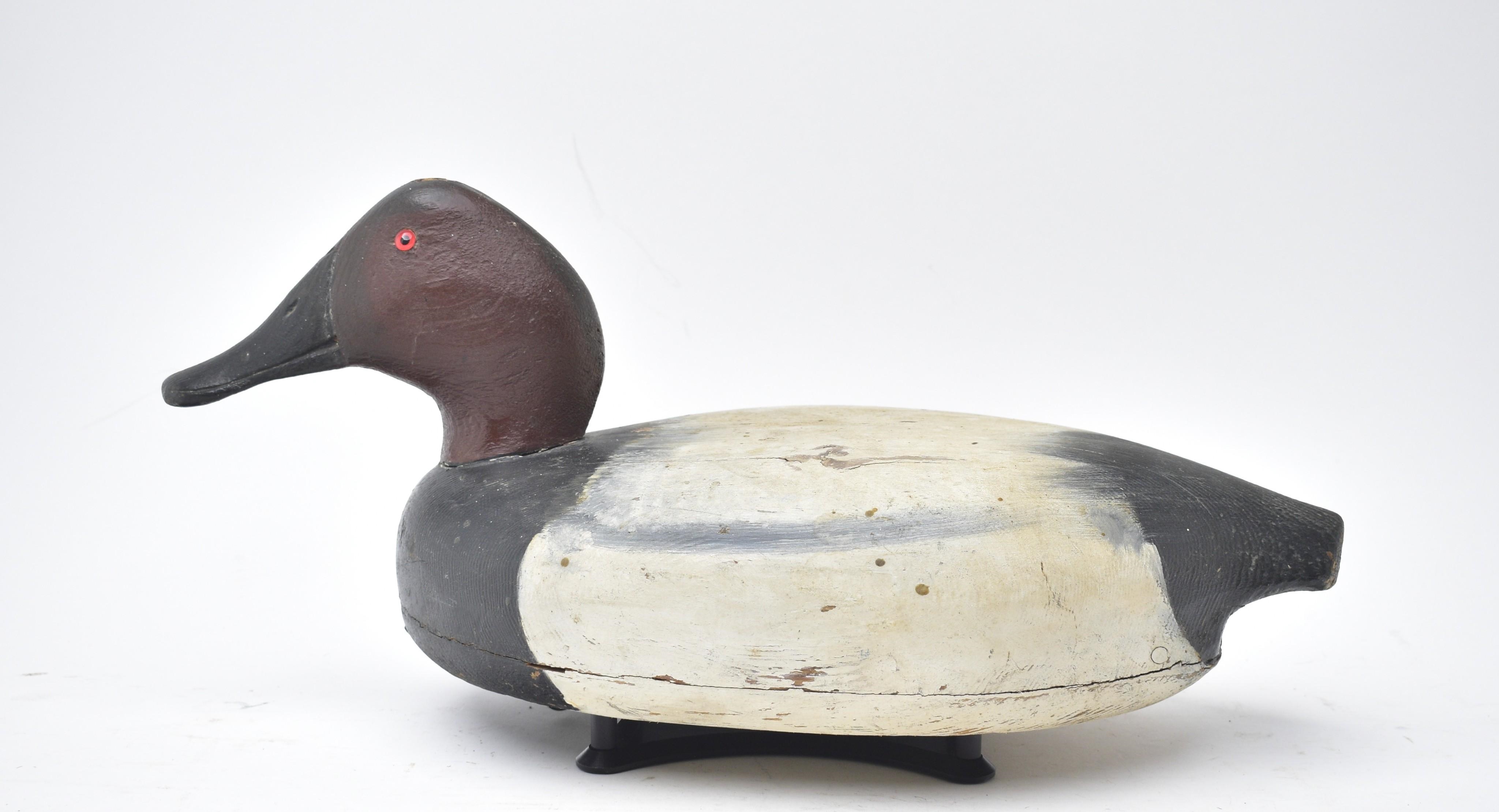Chank Elliott | Canvasback | MutualArt