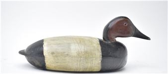 Canvasback - Charles Black