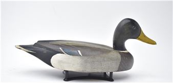 Mallard - David W. Nichol