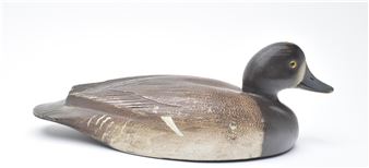 Bluebill hen - David W. Nichol