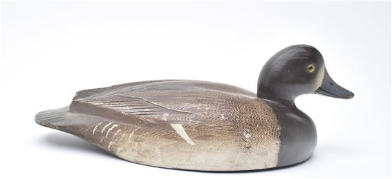 Bluebill hen - David W. Nichol