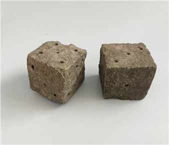 João Louro: The Origin of the Predatory Animals - Vera Cortês