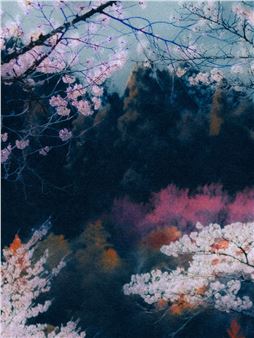 Paul Cupido: L'heure Bleu