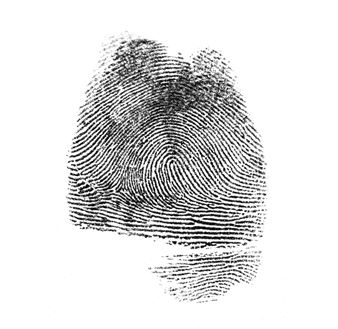 La imaxe, lo tapecío Pablo Casanueva - Centro Niemeyer