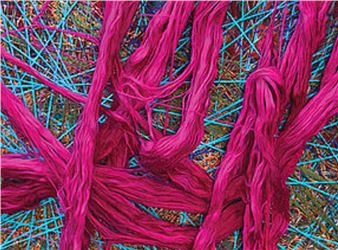 A Traveling Thread Told by Sheila Hicks and Monique Lévi-Strauss - Musée du Quai Branly