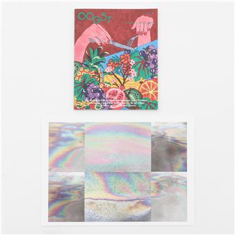 Surface Colour - Richard Deacon