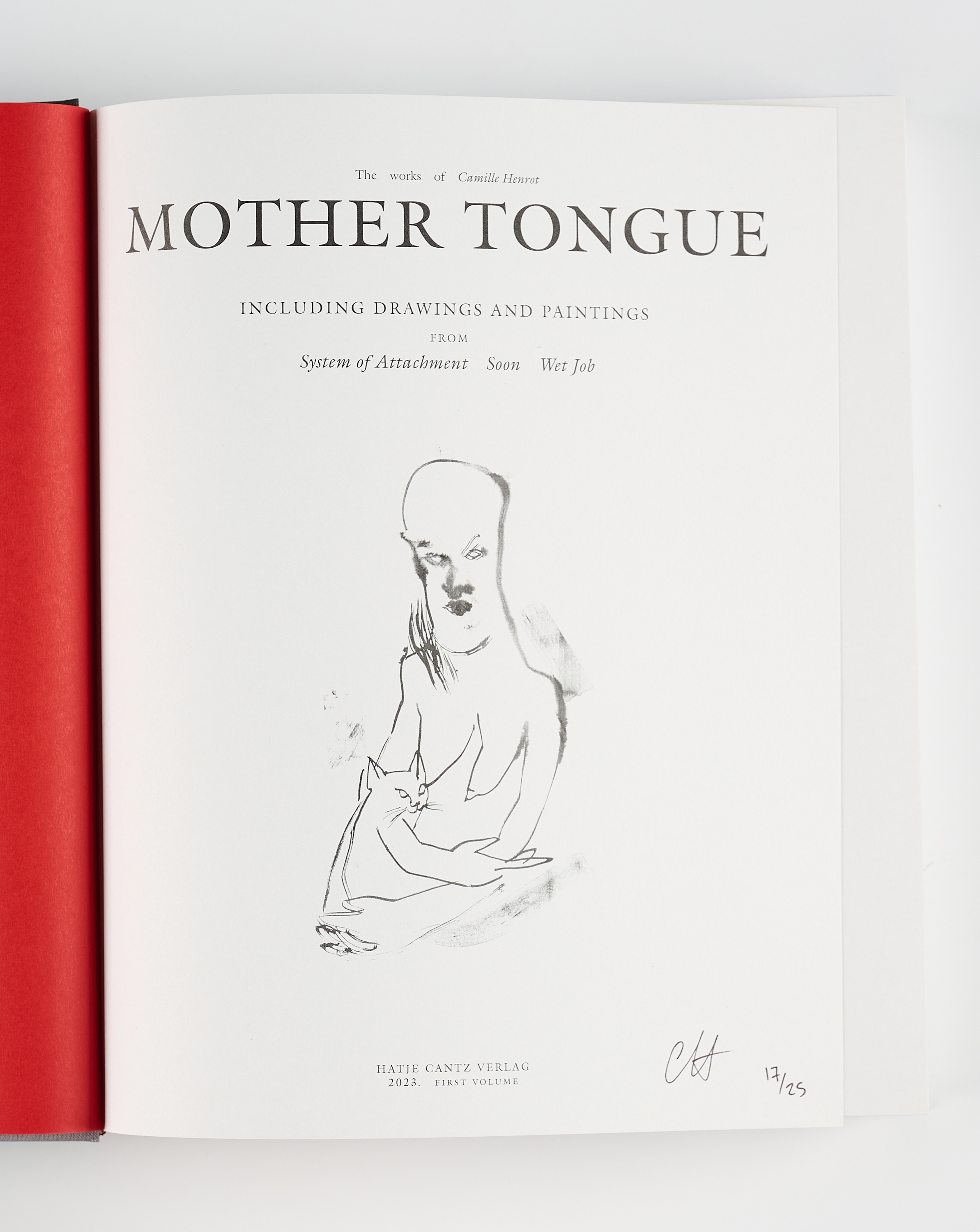 Artwork by Camille Henrot, Mother Tongue, Made of Watercolour On Book Cover