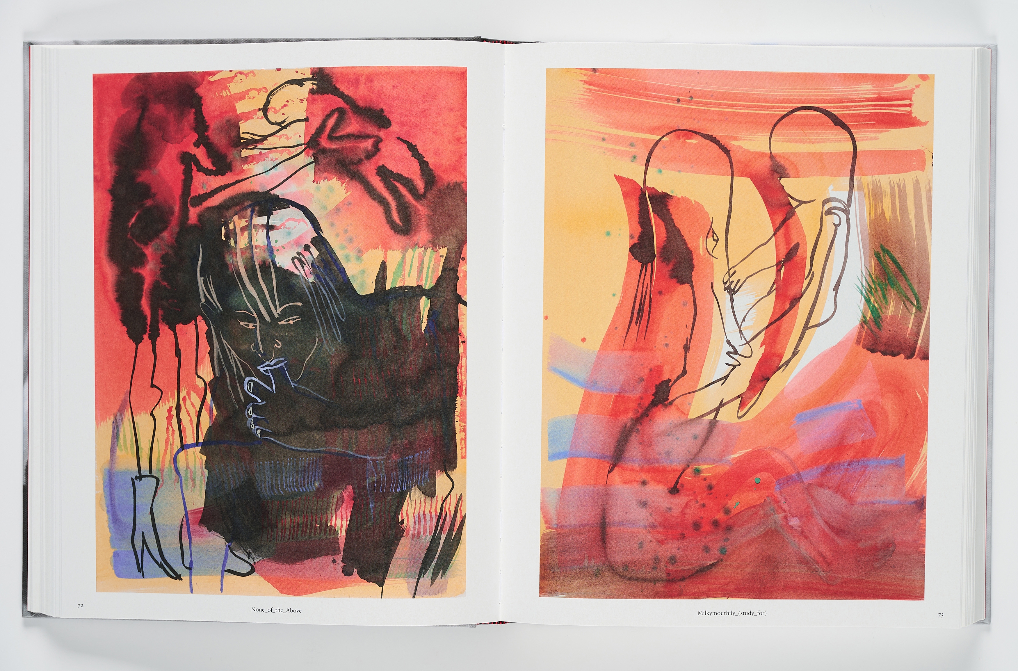 Artwork by Camille Henrot, Mother Tongue, Made of Watercolour On Book Cover