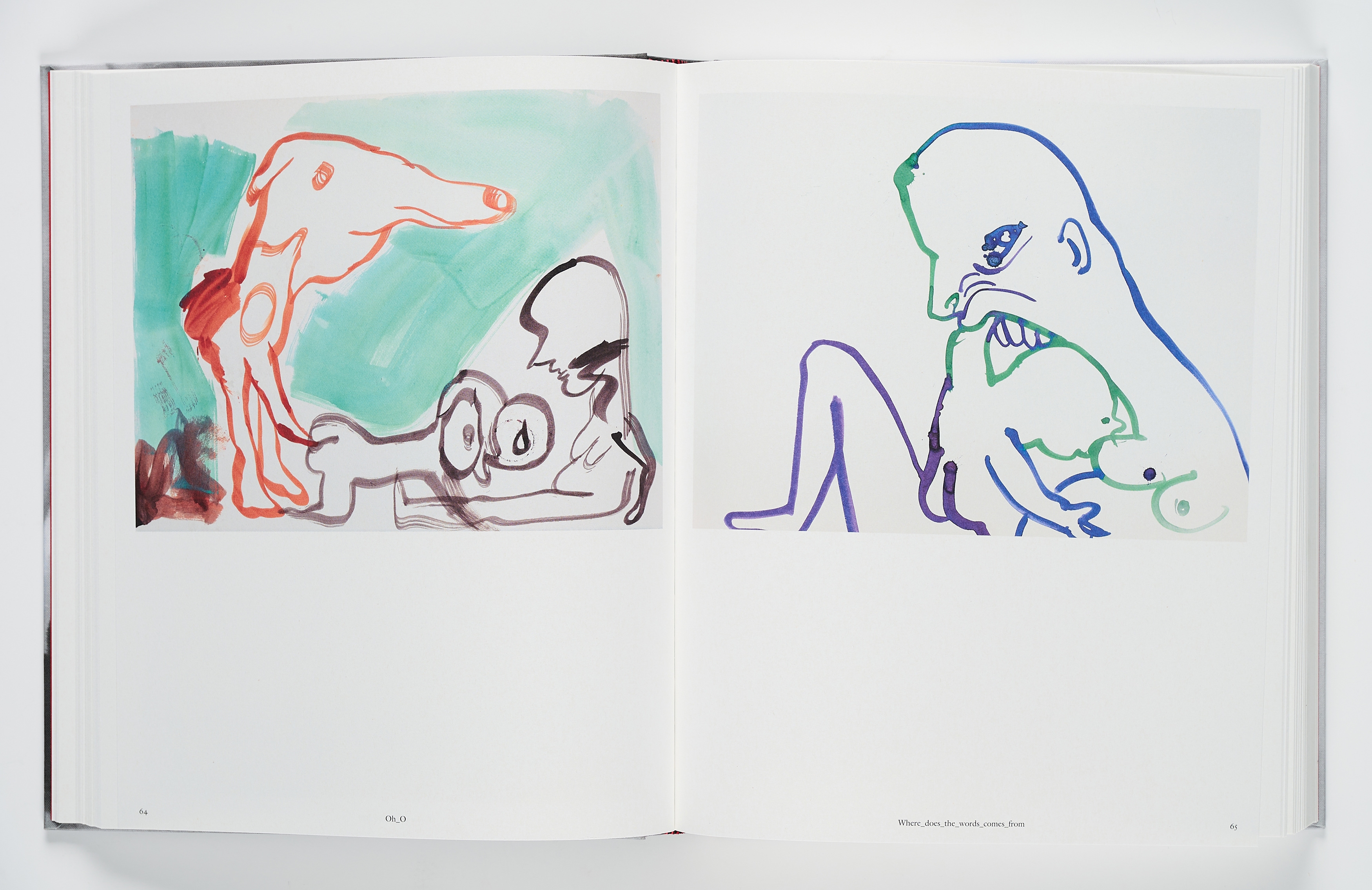 Artwork by Camille Henrot, Mother Tongue, Made of Watercolour On Book Cover