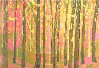 Alex Demarmels - PYTHONGallery