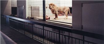 Modern & Post War/ Contemporary Art - Karl & Faber