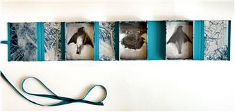 "Bird Box" - Diana Bloomfield