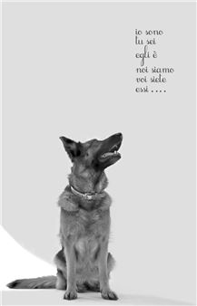 Cesare Fullone & Cesare Pietroiusti: Un manifesto senza Dimensioni - Metronom