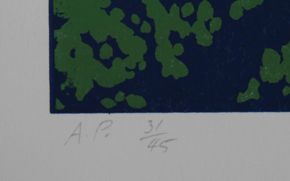 Artwork by Jon D'Orazio, Radiance, Made of Screenprint