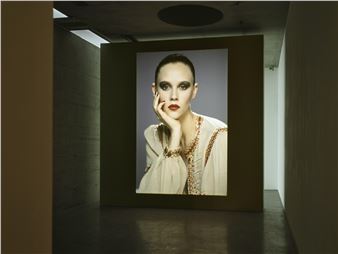 Visual Echoes: Counter-Images in the Stream of Pictures. Video, Film, Photography