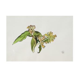 Gentianes du soir - Jacques Chalom des Cordes