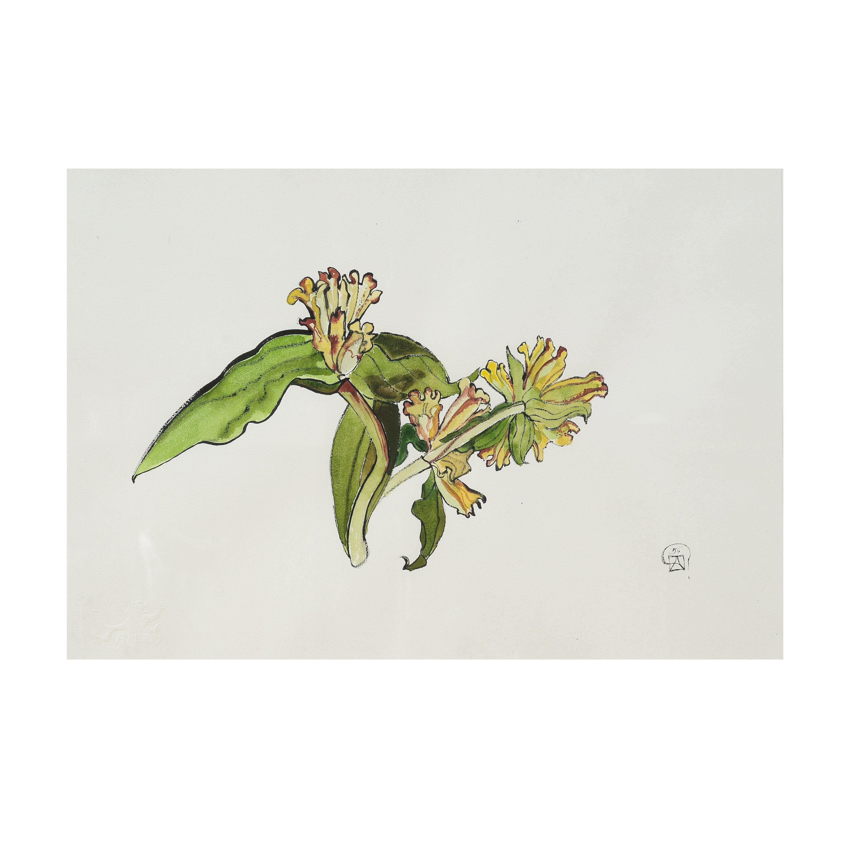 Artwork by Jacques Chalom des Cordes, Gentianes du soir, Made of watercolour on paper