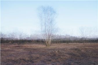 Mapping 10 - Kim Boske