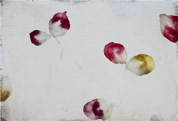 Pétalos - Antonio Murado