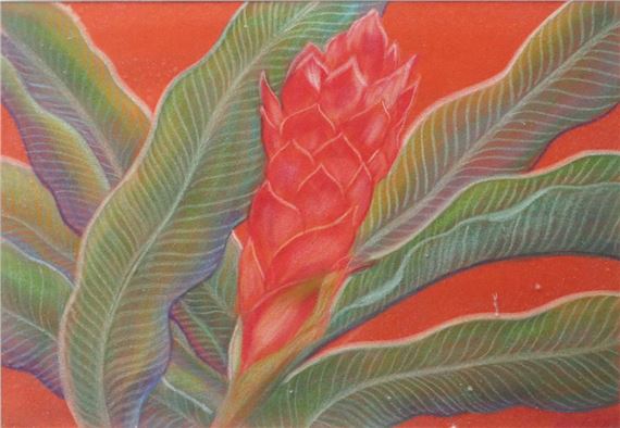 RED GINGER - Ivi Avellana Cosio