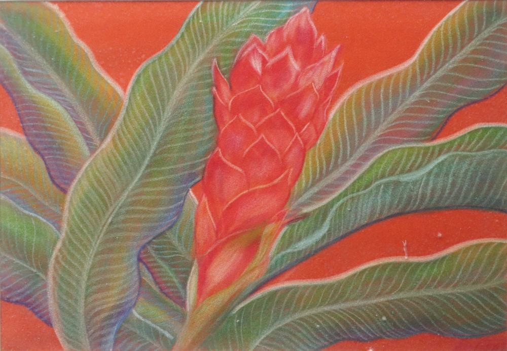Artwork by Ivi Avellana Cosio, RED GINGER, Made of Oil Pastel On Felt Paper
