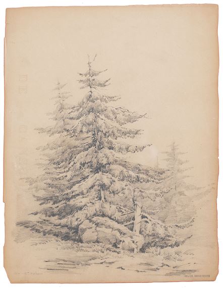 Árboles - José María Velasco