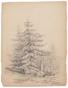 Árboles - José María Velasco