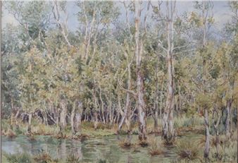 BUSHLANDS - Nola Grabble