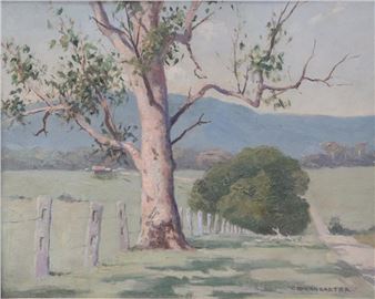 LANDSCAPE - FIG TREE POCKET - Charles Lancaster