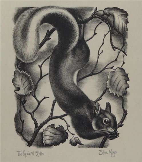 THE SQUIRREL - Eileen Mayo
