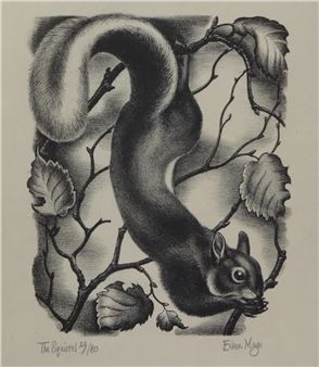 THE SQUIRREL - Eileen Mayo