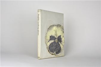 Jonathan Callan & Susanne Wellm: What Remains - Hopstreet Gallery, Brussels