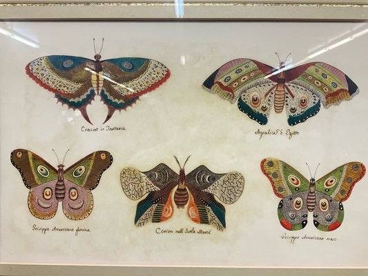 Artwork by Giuseppe Ferrarini, Pair of Butterfly Prints