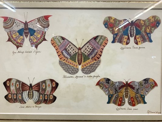 Artwork by Giuseppe Ferrarini, Pair of Butterfly Prints