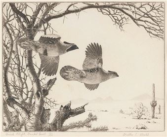 A detailed monochromatic print capturing two birds in flight over a sparse desert landscape.