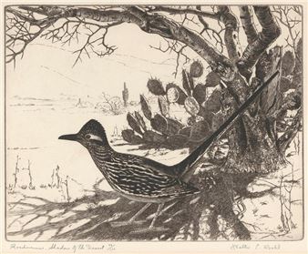 A detailed etching of a long-tailed bird perched on a cactus under a bare tree in a desert landscape.