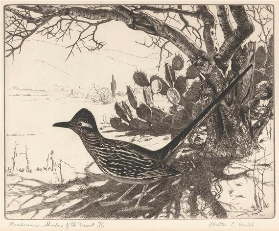 A detailed etching of a long-tailed bird perched on a cactus under a bare tree in a desert landscape.