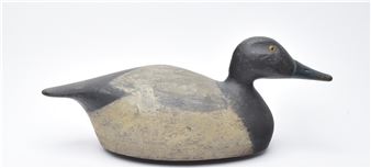 Bluebill - August Moak