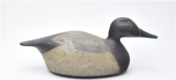 Bluebill - August Moak