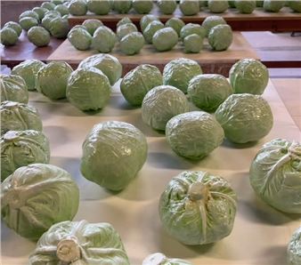 Michelle Grabner: Multiples: Quotidian, Habitual, Stereotypical - Abattoir Gallery